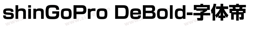 shinGoPro DeBold字体转换